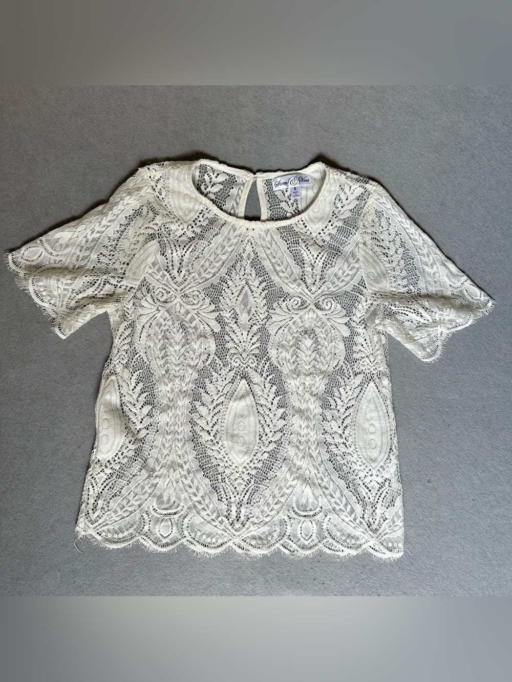 Altar'd State Cream Lace Short Sleeve Crochet Blouse